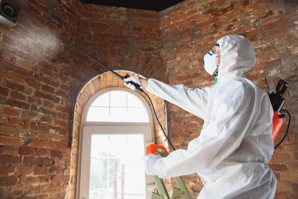 Why You Should Choose Our Mold Remediation Services in Waupun, WI